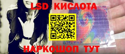 ГАЛЛЮЦИНОГЕННЫЕ ГРИБЫ Свободный